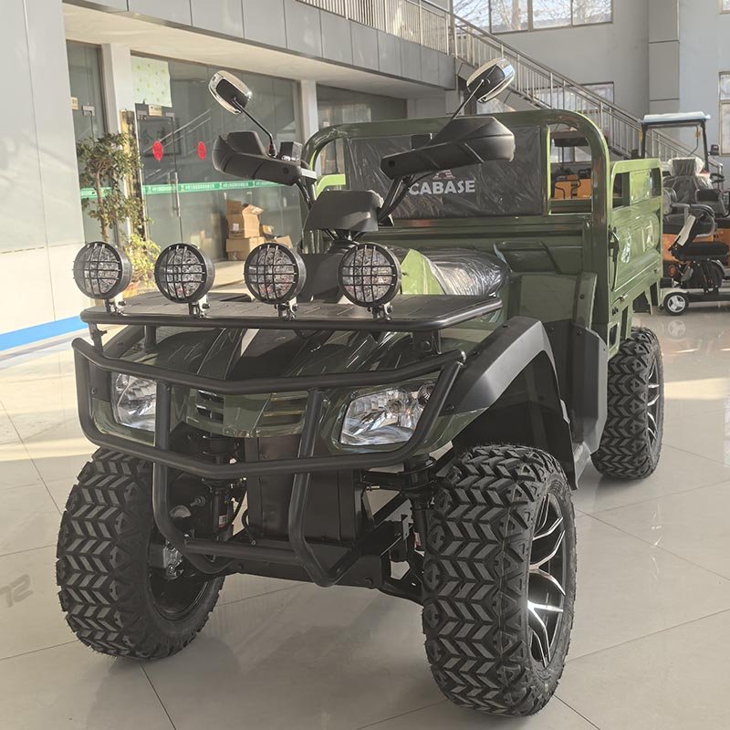 Professional 3500W Off-Road All-Terrain ATV for Efficient Freight Hauling Electric Vehicle