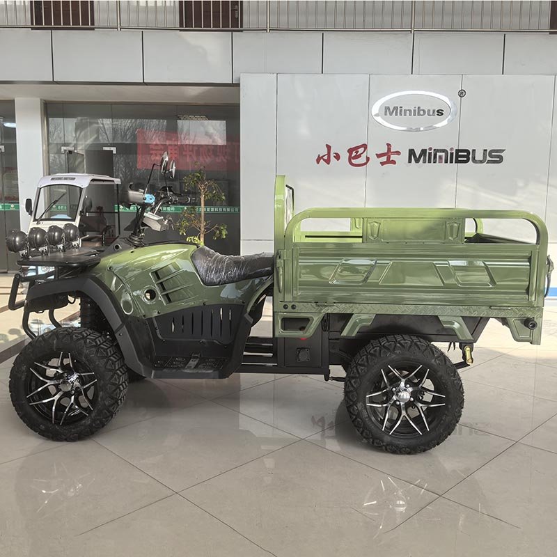 Professional 3500W Off-Road All-Terrain ATV for Efficient Freight Hauling Electric Vehicle