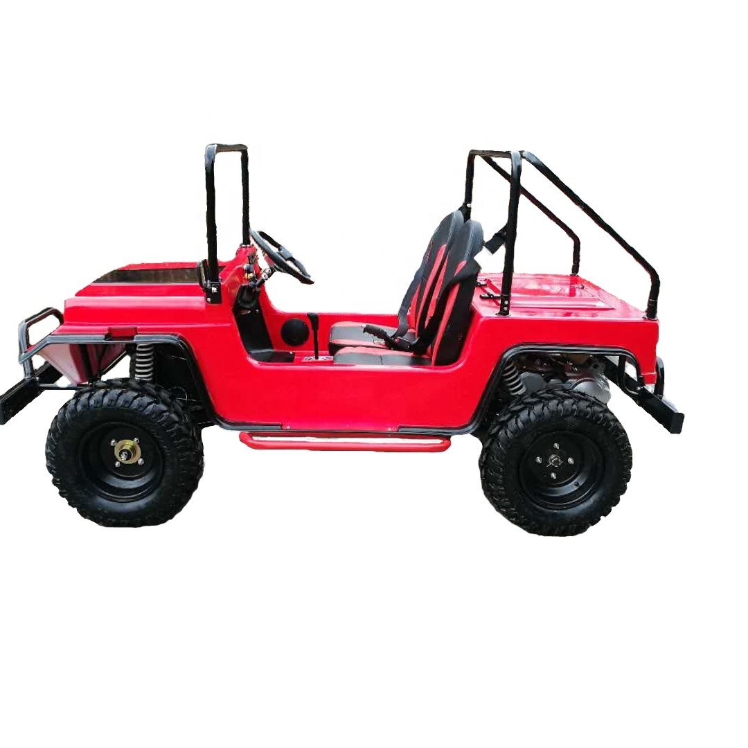 Gasoline Quad ATV 125cc Mini Buggy 2 Seat Golf Cart Adult Mini Jeep