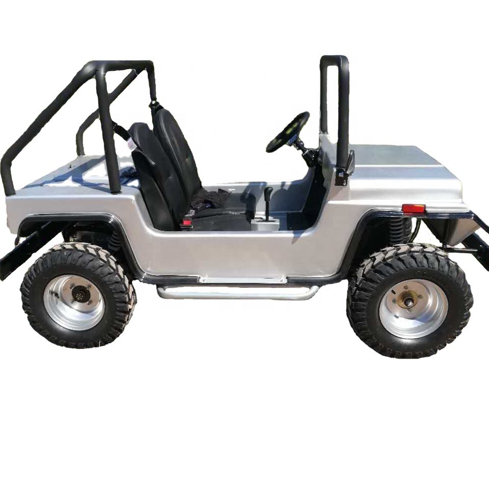 Gasoline Quad ATV 125cc Mini Buggy 2 Seat Golf Cart Adult Mini Jeep