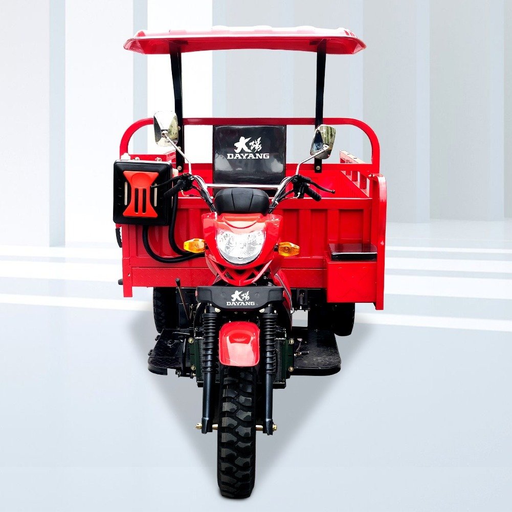 DAYANG DY-H8 Hot Selling and Popular Tricycle Models at Africa With Powerful Engine 250cc/300cc 350cc Tricycle