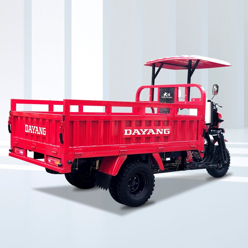 DAYANG DY-H8 Hot Selling and Popular Tricycle Models at Africa With Powerful Engine 250cc/300cc 350cc Tricycle