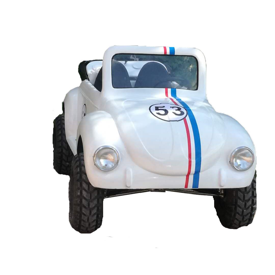 Hot Sell Gasoline Golf Cart 2WD 4WD ATV 125cc Mini Beetle Car with 2 Seater