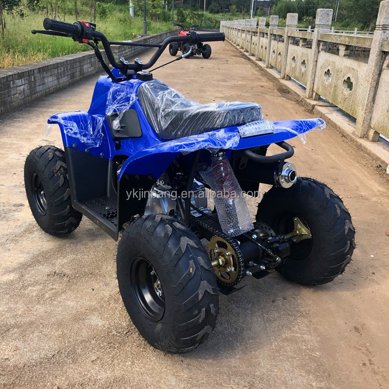 Quad Bike Children's 49cc Mini Quad ATV