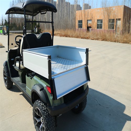 Tong Cai Lithium Battery Utility Vehicle 48V 70km/h UTV ATV Tail Caddie 500kg CE Certified Weight 90km Golf Cart Buggy for Sale