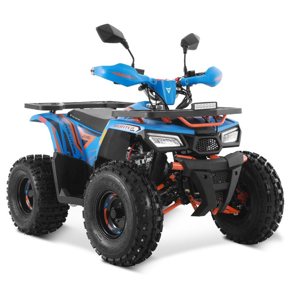 Tao Motor 2024 Farm Cheap Quad Bike Automatic 4 Stroke Engine 125cc ATV