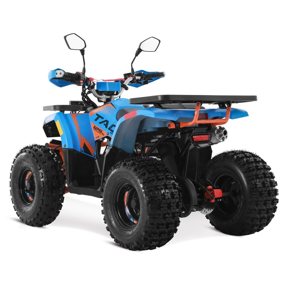 Tao Motor 2024 Farm Cheap Quad Bike Automatic 4 Stroke Engine 125cc ATV
