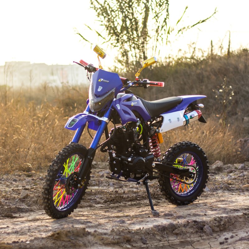New Good Gasoline Motorcycle 125cc 150cc 200cc 250cc 4 Stroke Off- Road Motorcycle Pit Bike for Adult