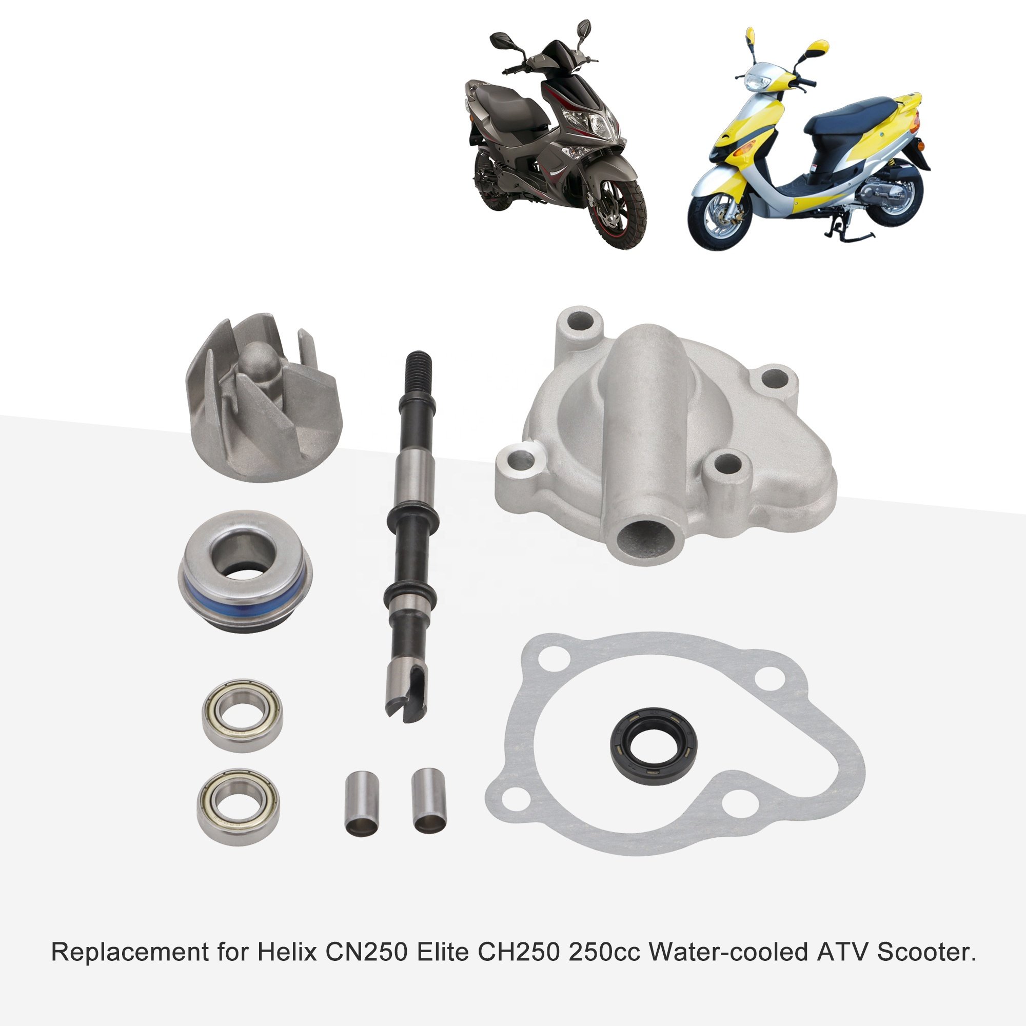 GOOFIT Motorcycle Water Pump Assy Replacement for Helix CN250 Elite CH250 250cc Water-cooled ATV Scooter Dirt Pit Bike