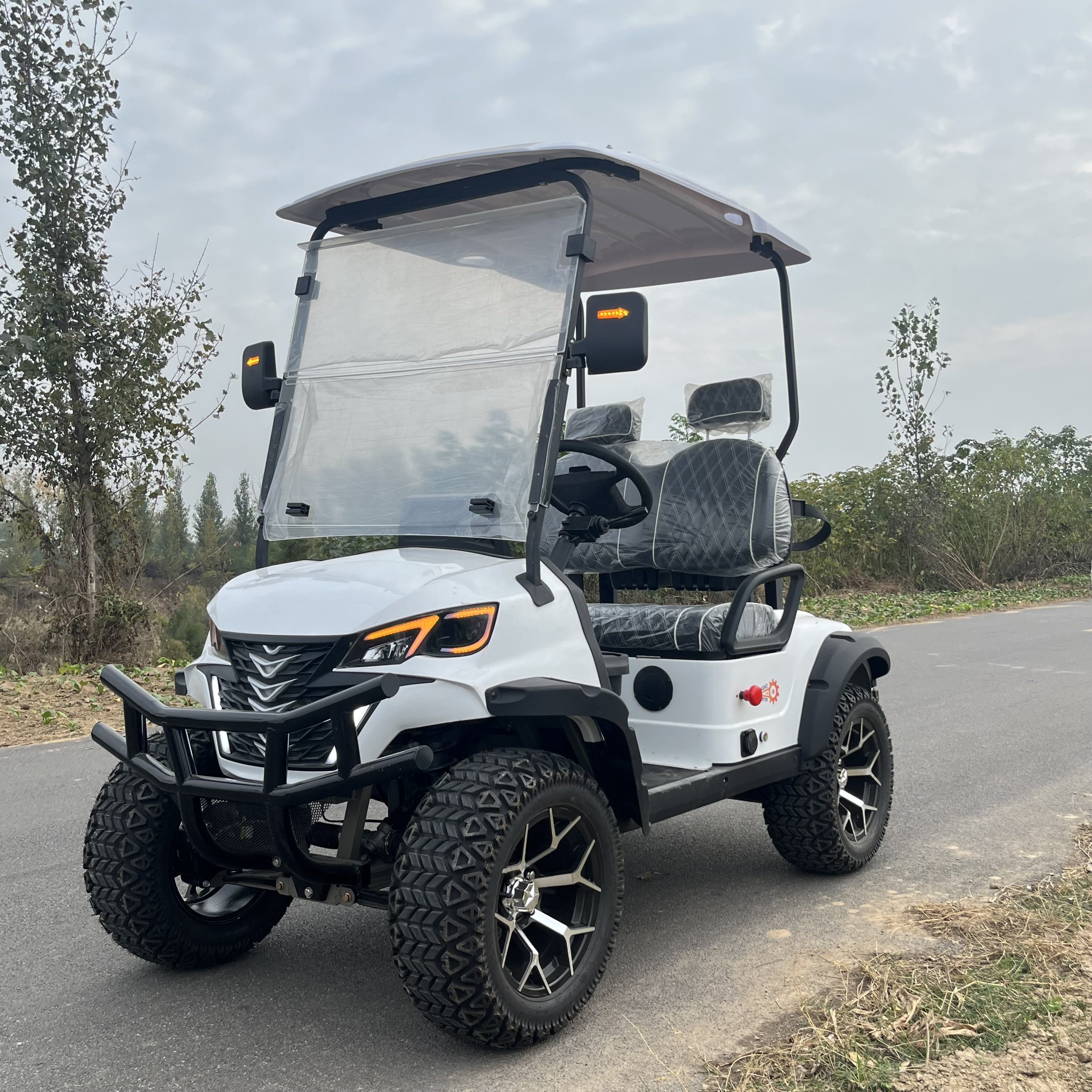 New Product Lithium Golf Carts Battery Luxury Golf Carts Electric 2 4 6 Seater for Tour
