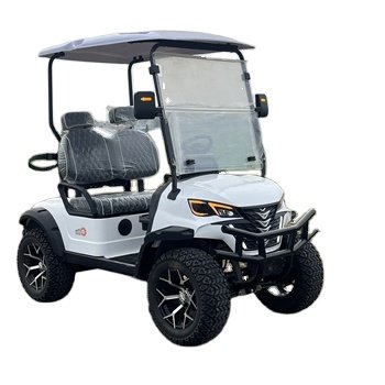 New Product Lithium Golf Carts Battery Luxury Golf Carts Electric 2 4 6 Seater for Tour