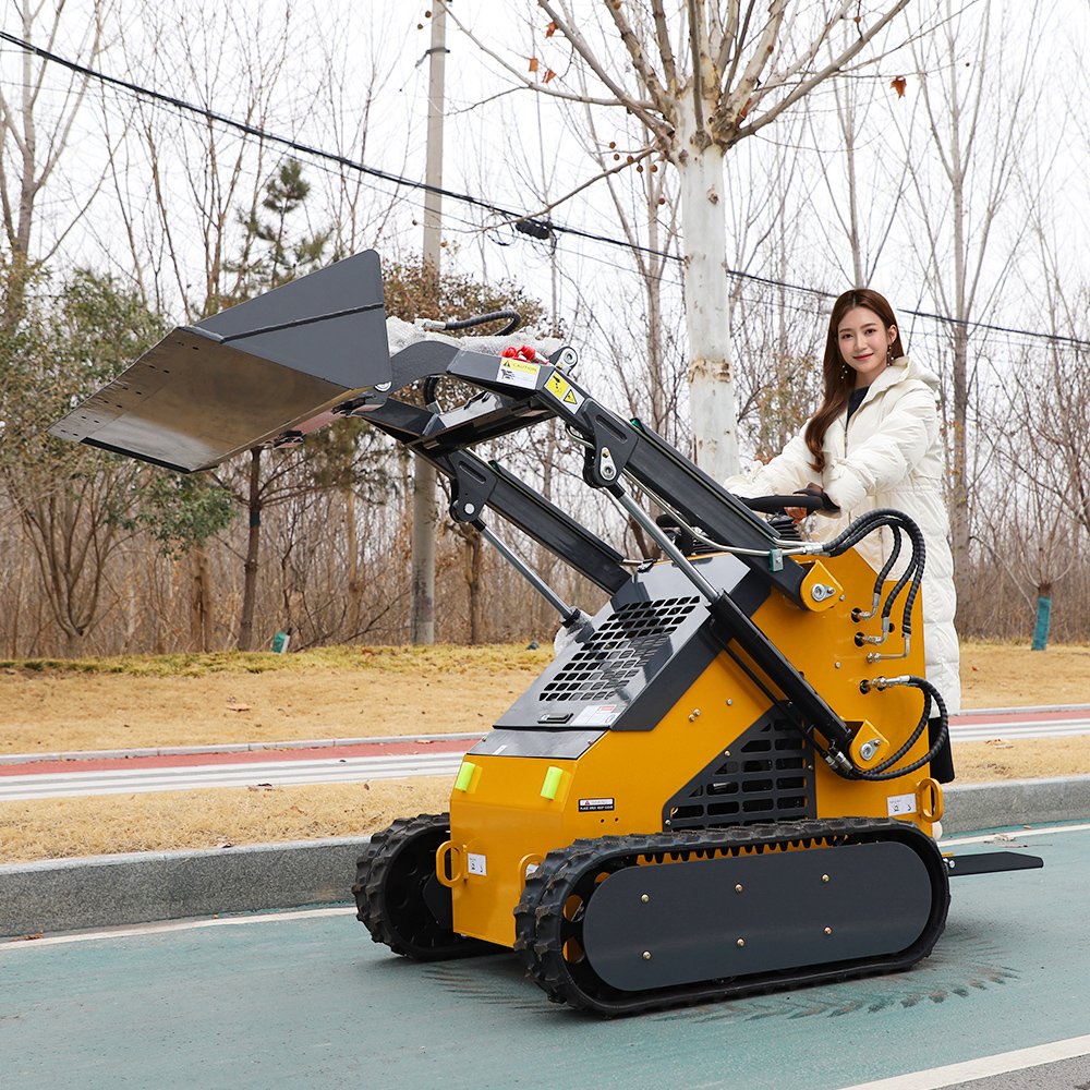 Free Shipping 1ton 1000kg Mini Skid Steer with Three Pump Three Valve Trencher