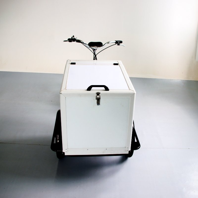 Commercial Small Ice Cream Popsicle Cart
