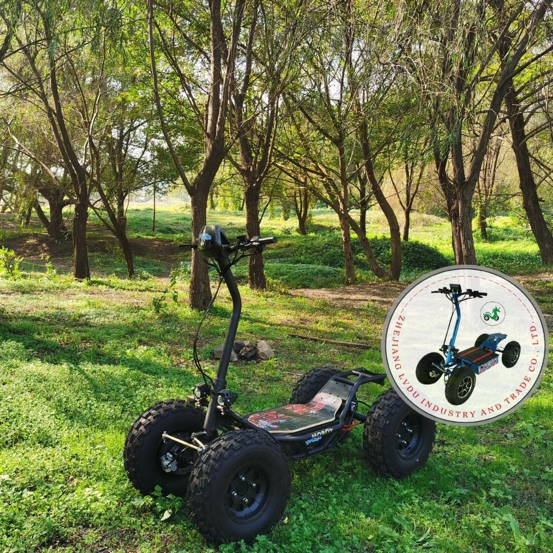 Special Edition Electric ATV