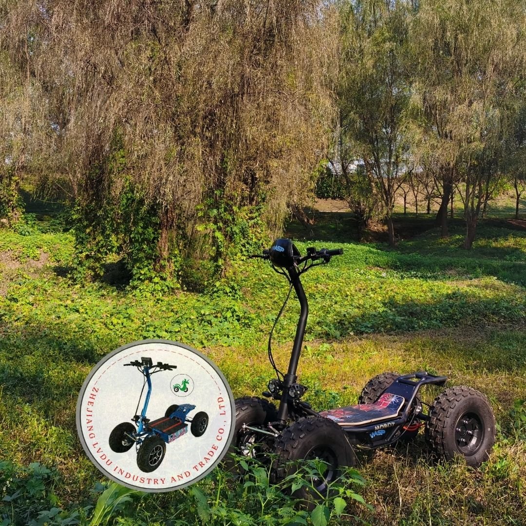 Special Edition Electric ATV
