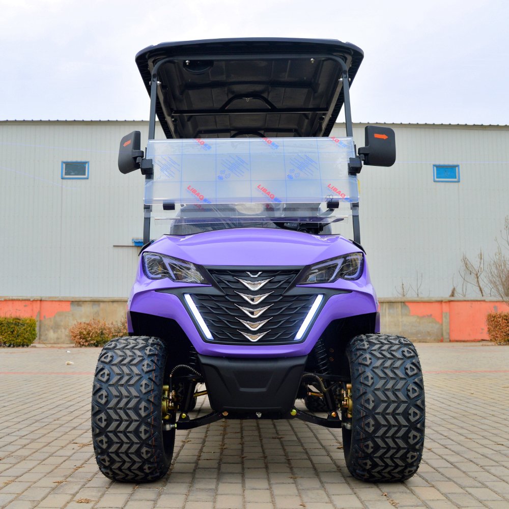 Durable 48v Electric Golf Cart Customized 6-Seater Club Buggy for Hunting Sale Chinese 4-Wheel Electric Vehicle