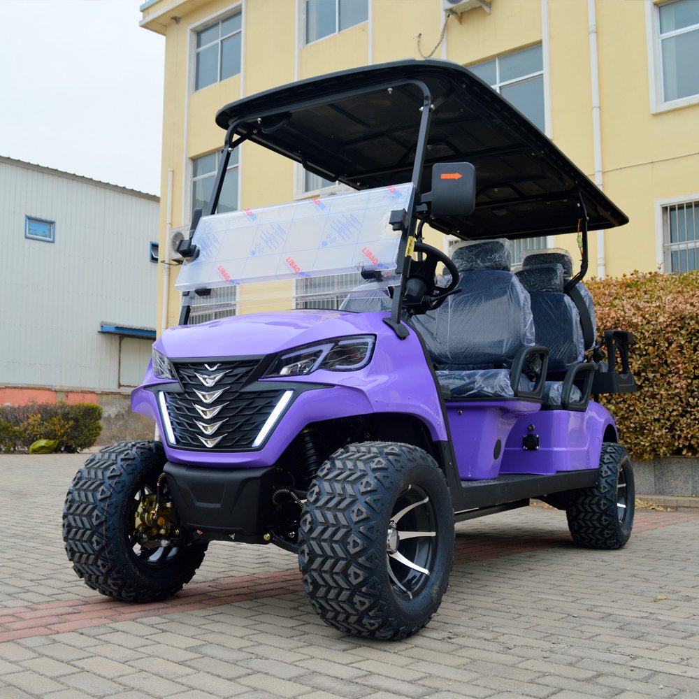 Durable 48v Electric Golf Cart Customized 6-Seater Club Buggy for Hunting Sale Chinese 4-Wheel Electric Vehicle