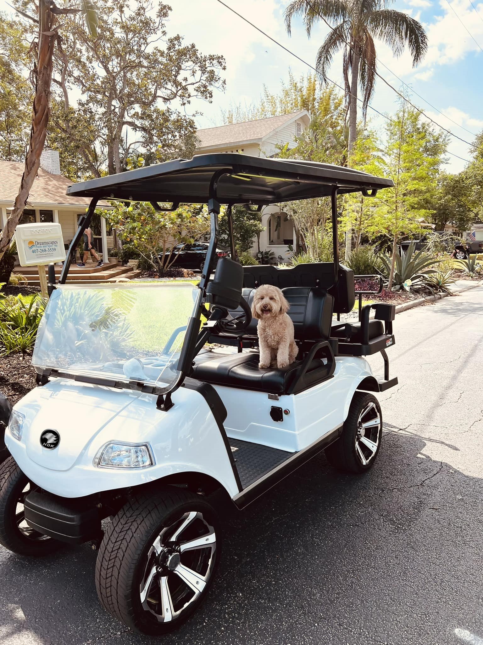 Side by Sides 4x4 4 Seats New Electric 48V EEC ISO Off-road Cheap 4 Seater Ce Electric Golf Cart CE Kart Car Price