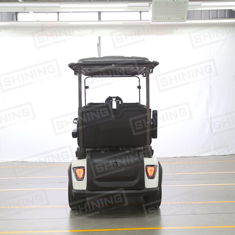 Shining Brand 4 Seater Golf Cart Street Legal 4x4 Atvs for Adult Electric Utvs