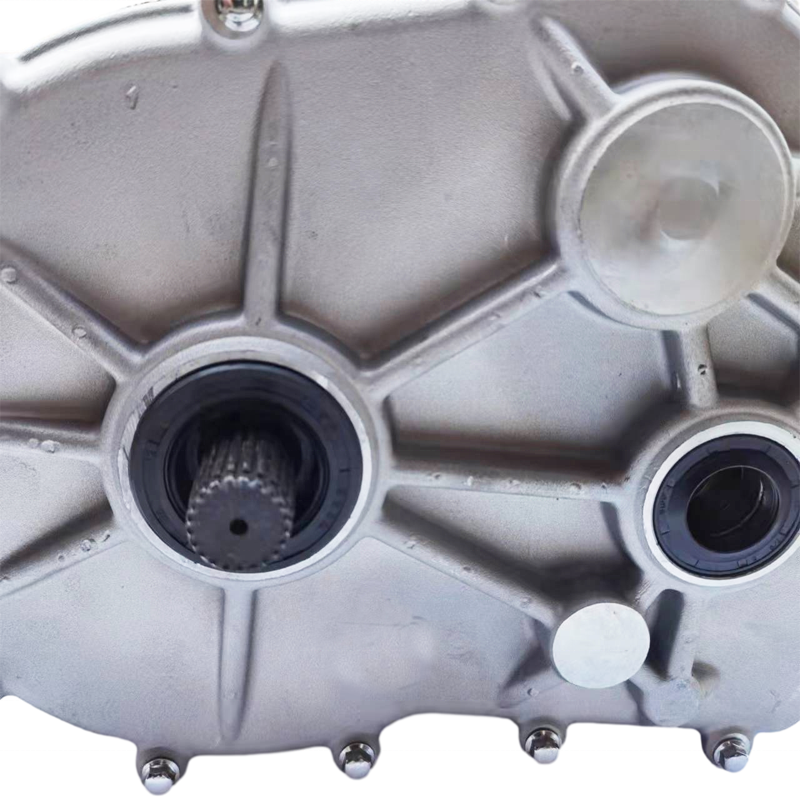 Best Price Rear Differential Gearbox / Transmission Box Suit for PGO250 BUGGY/BR250 /Pgo 250 ATV Go Kart Buggy Quad Parts