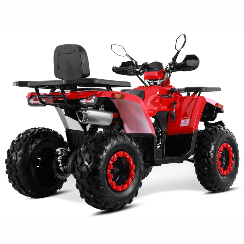 Tao Motor 2025 New Electric Start Chain Drive 4x2 Off Road 200cc ATV Quad Bike Cuatrimoto Quad ATV 200