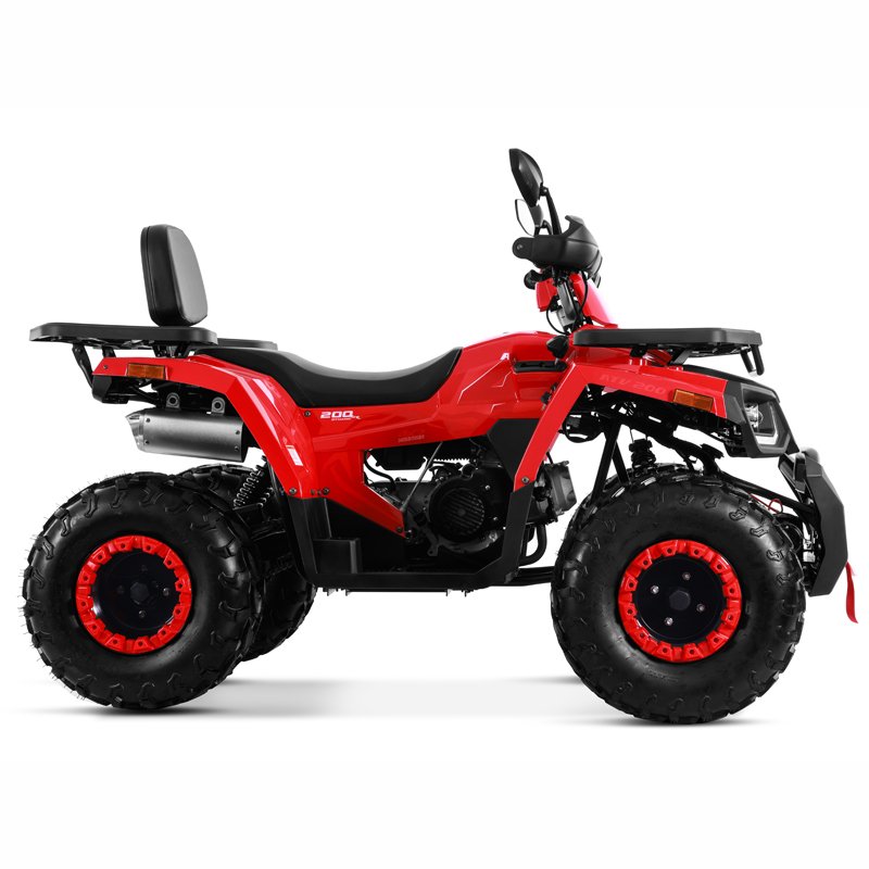 Tao Motor 2025 New Electric Start Chain Drive 4x2 Off Road 200cc ATV Quad Bike Cuatrimoto Quad ATV 200