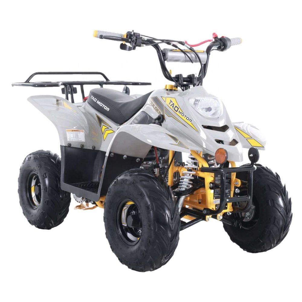 Tao Motor New Design Cheap Farm Kids ATVs 110cc ATV for Sale