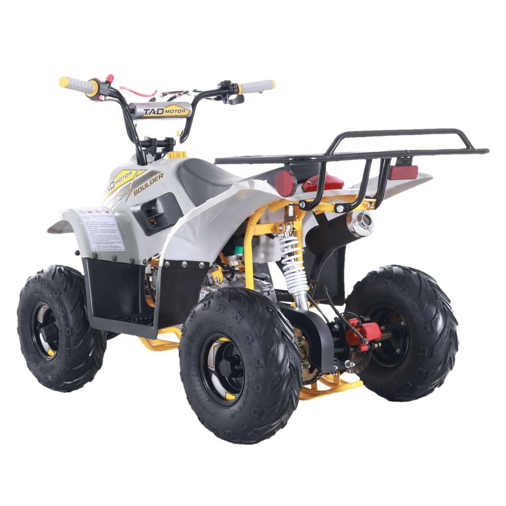 Tao Motor New Design Cheap Farm Kids ATVs 110cc ATV for Sale