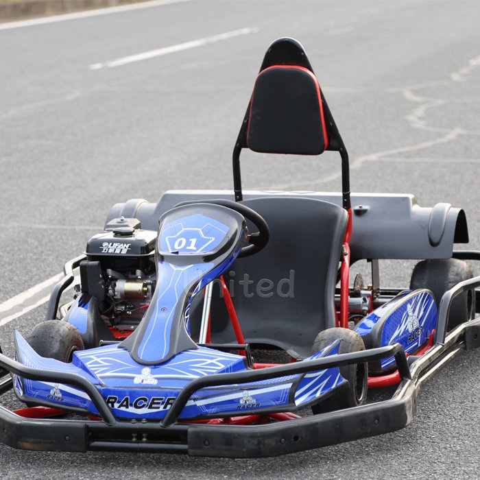 Dune Buggy ATV | 2-Seater Go Kart With 200cc/150cc Engine - All-Terrain Vehicle for Adults