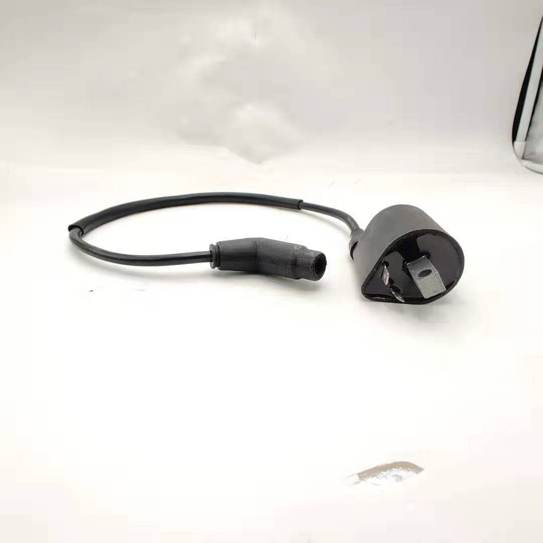 Linhai ATVs Parts 260cc 300cc 400cc 500cc Ignition Coil and Wire 22012 4x4 Atv/utv Parts & Accessories