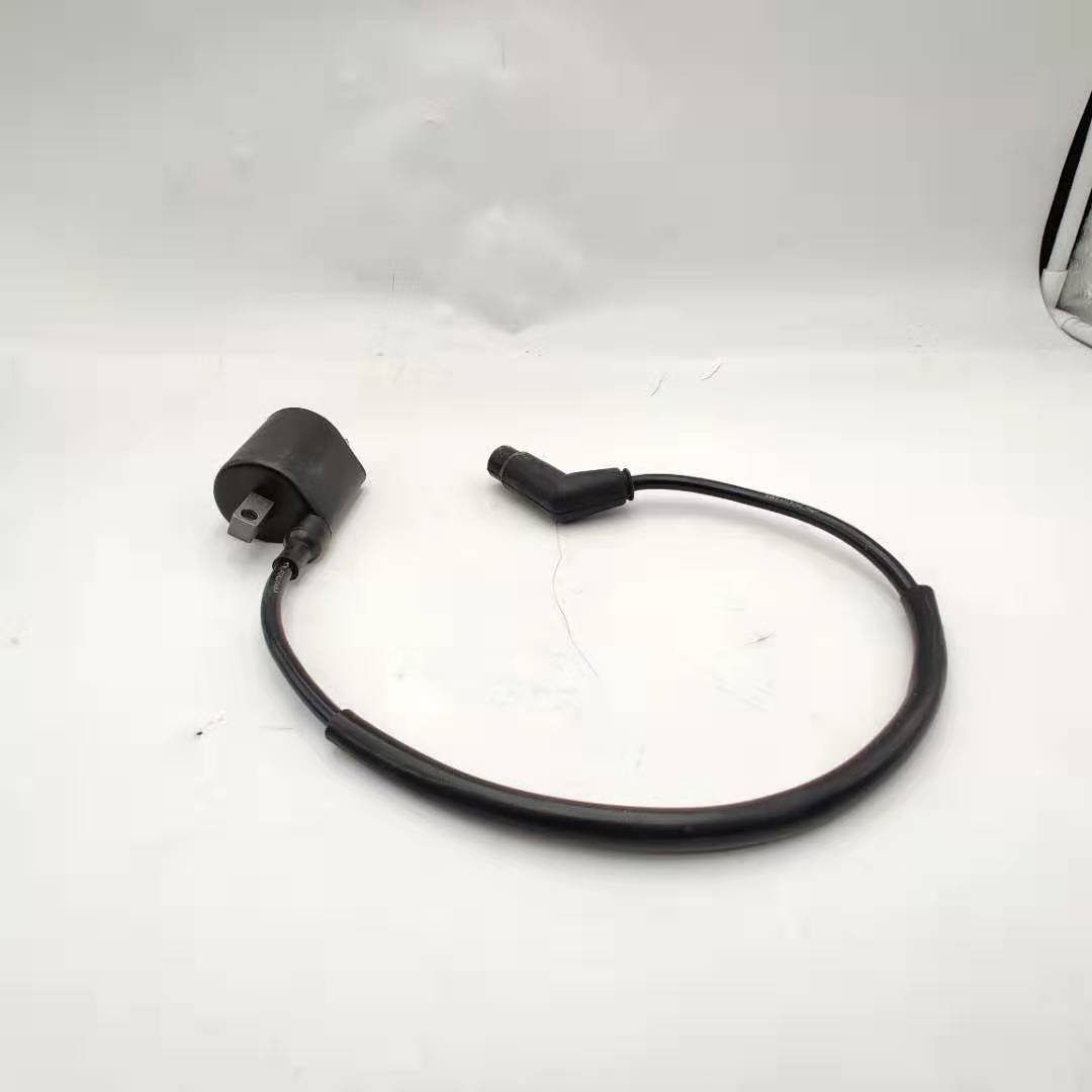 Linhai ATVs Parts 260cc 300cc 400cc 500cc Ignition Coil and Wire 22012 4x4 Atv/utv Parts & Accessories