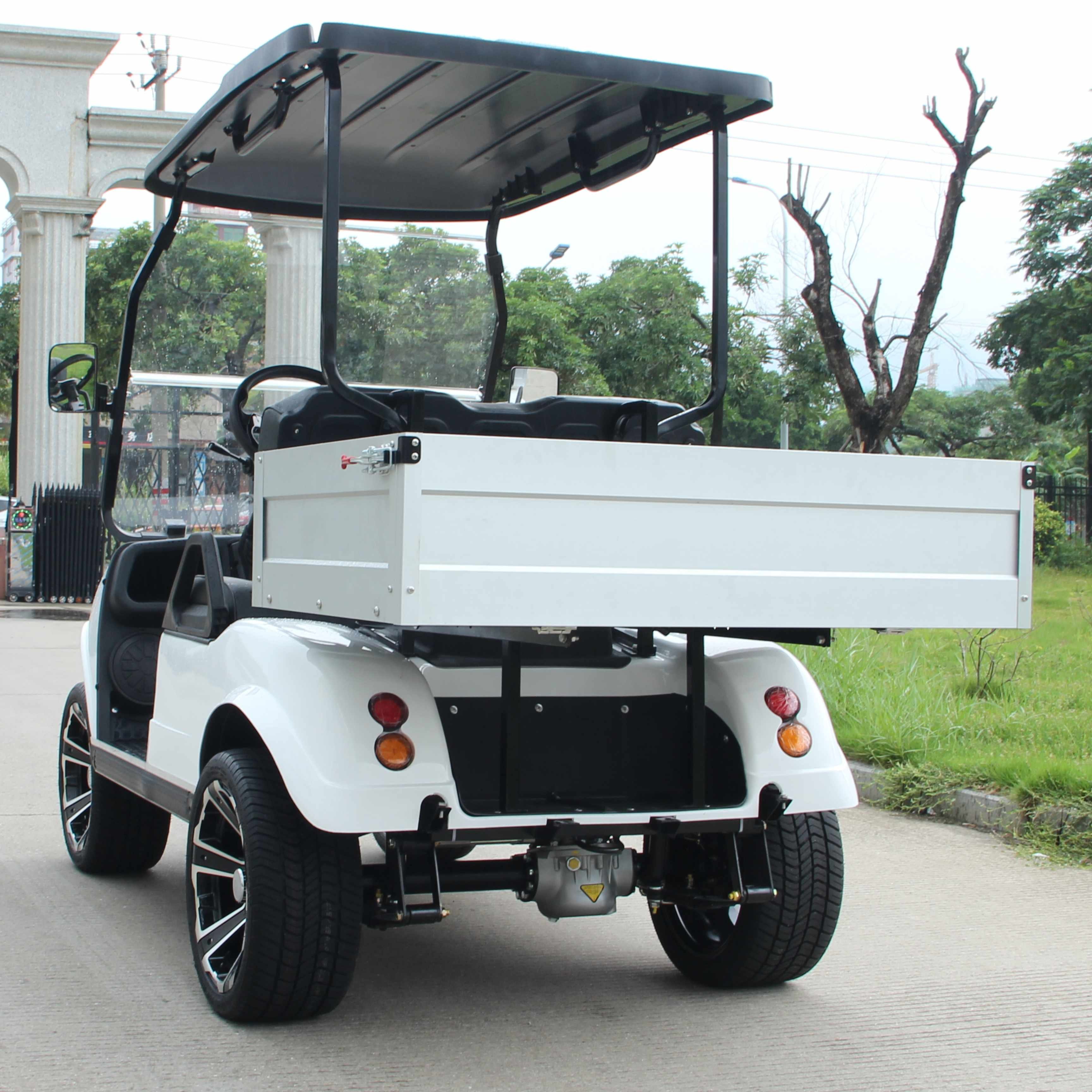 HDK EVOLUTION Cargo Box 2 Seats Utility Vehicle Mini Truck 48V Electric Pick up UTV Buggy Golf Cart