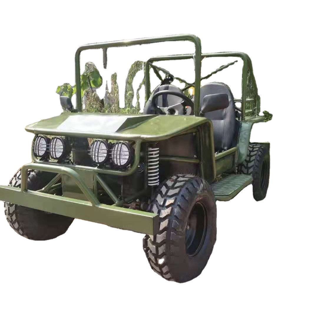 Cool 200cc Dune Buggy Gasoline Quad ATV UTV 2WD 4WD Mini Buggy Off Road Car