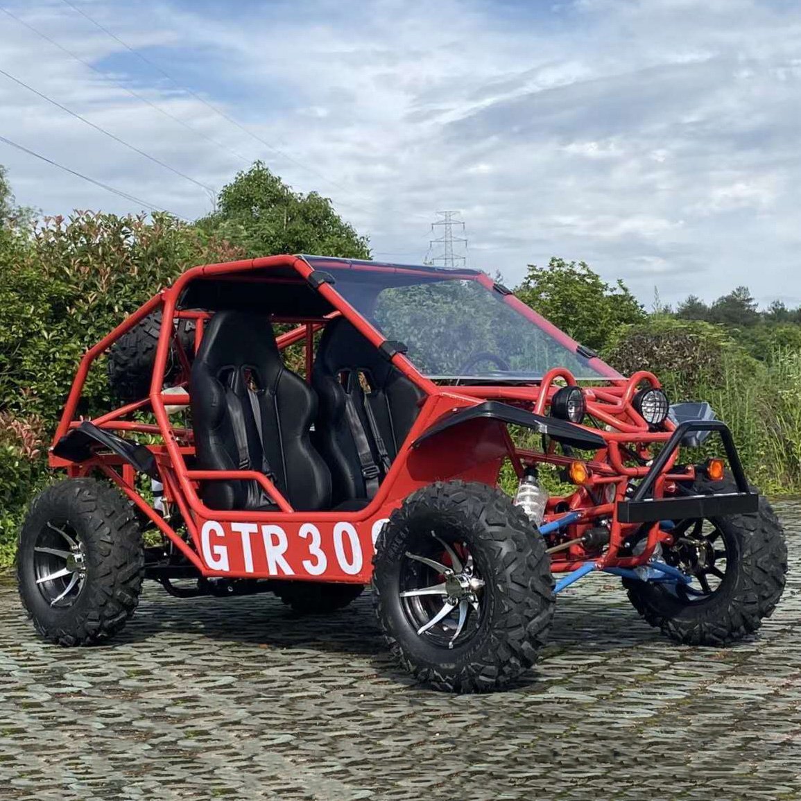 Large 350cc Gasoline Adult Water-cooled Four-wheel Motorcycle Two-seater All-terrain Off-road Karting dune Buggy ATV/UTV on Sale
