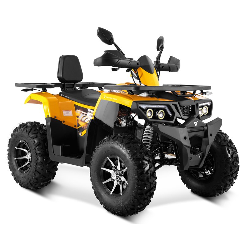 Tao Motor 2025 New Electric Start Chain Drive Automatic Quad Bike 4 Wheeler Adult 200cc ATV