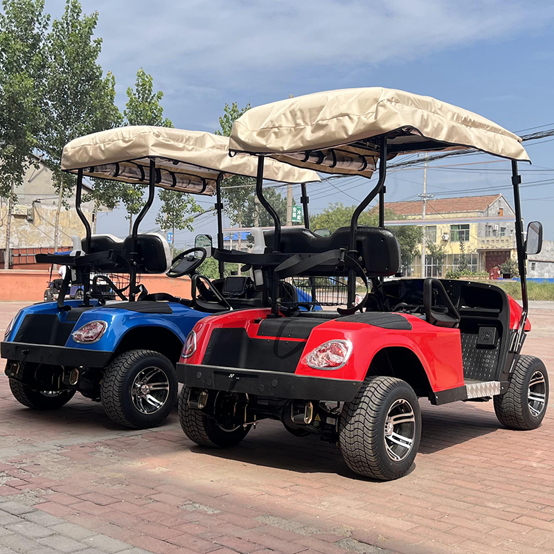 Golf Car Electric Motor Golf Car Wheels Atv 2 4 6 Seater