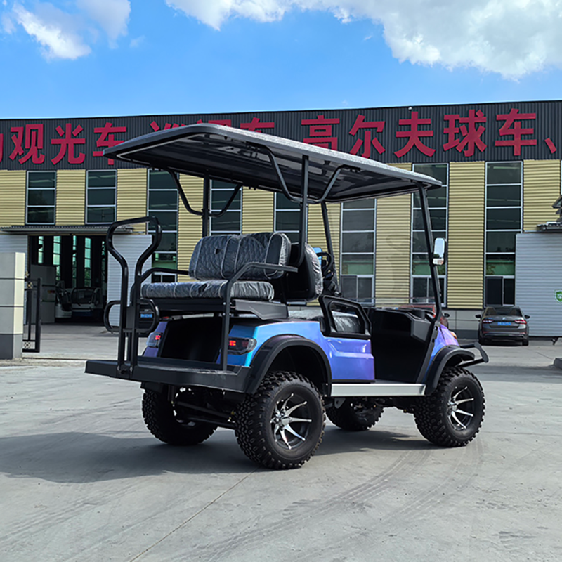 Golf Car Electric Motor Golf Car Wheels Atv 2 4 6 Seater