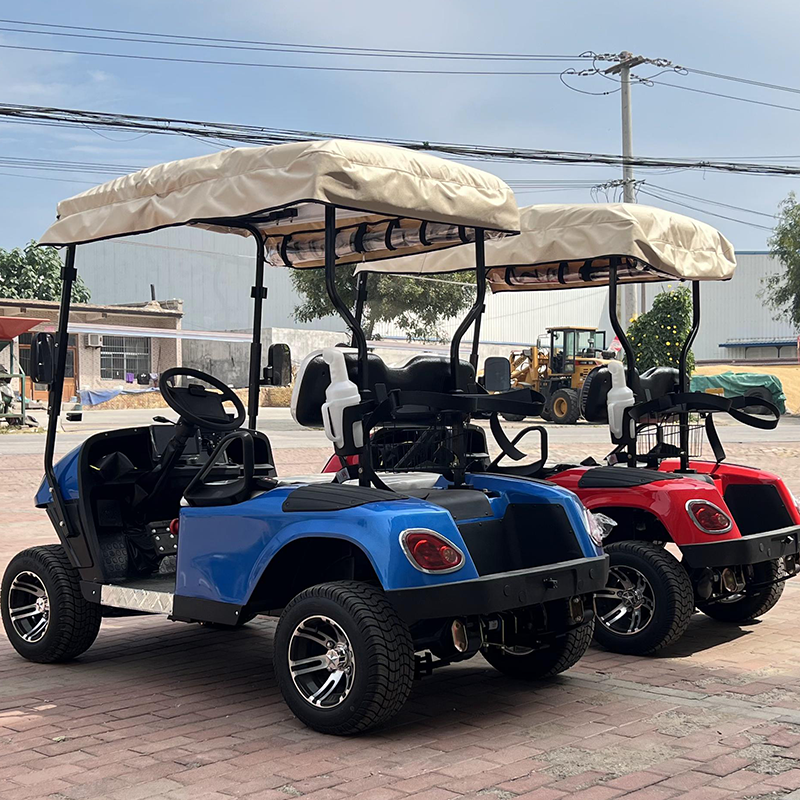 Golf Car Electric Motor Golf Car Wheels Atv 2 4 6 Seater