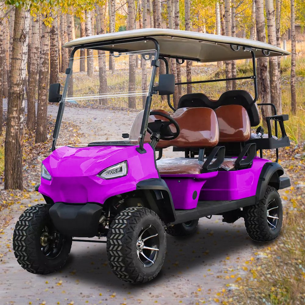 From China Powerful High Performance 48V Atv 500cc Electric Golf Cart 4+2 Seat off Road Buggy New Model Lithium Battery
