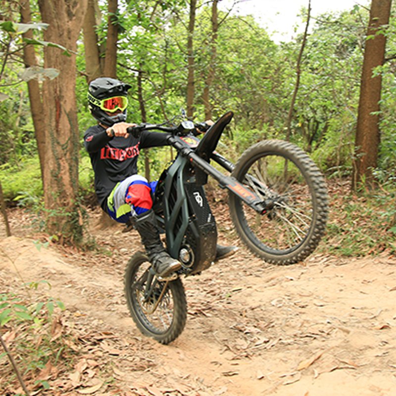 79Bike High Power 8000W Electric Dirt Bike Off-Road MTB Enduro Motorcycle with Brushless Motor Electric Bike