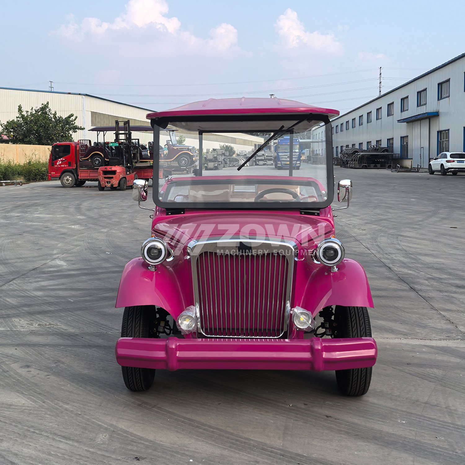Pink Classic Hot Sale Gasoline/Electric Off-road Cart Four Wheels for Adult