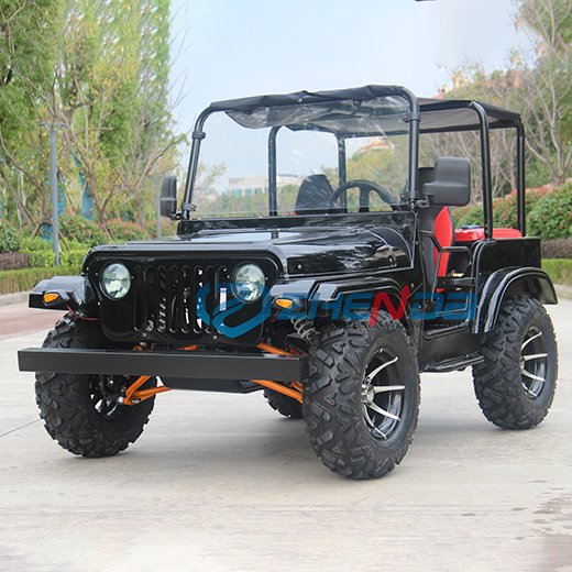 Gasoline Mini Jeep Hot Sale Made in China Black 250cc Petrol Four Wheels Mini Jeep