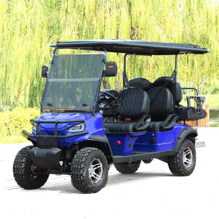 48V Lithium/Lead Battery for Sale ATV UTV New Buggy 4+2 Seater 4 Wheel Electric Car Eec Electric Vehicle 4 6 8 Seater with Catgo