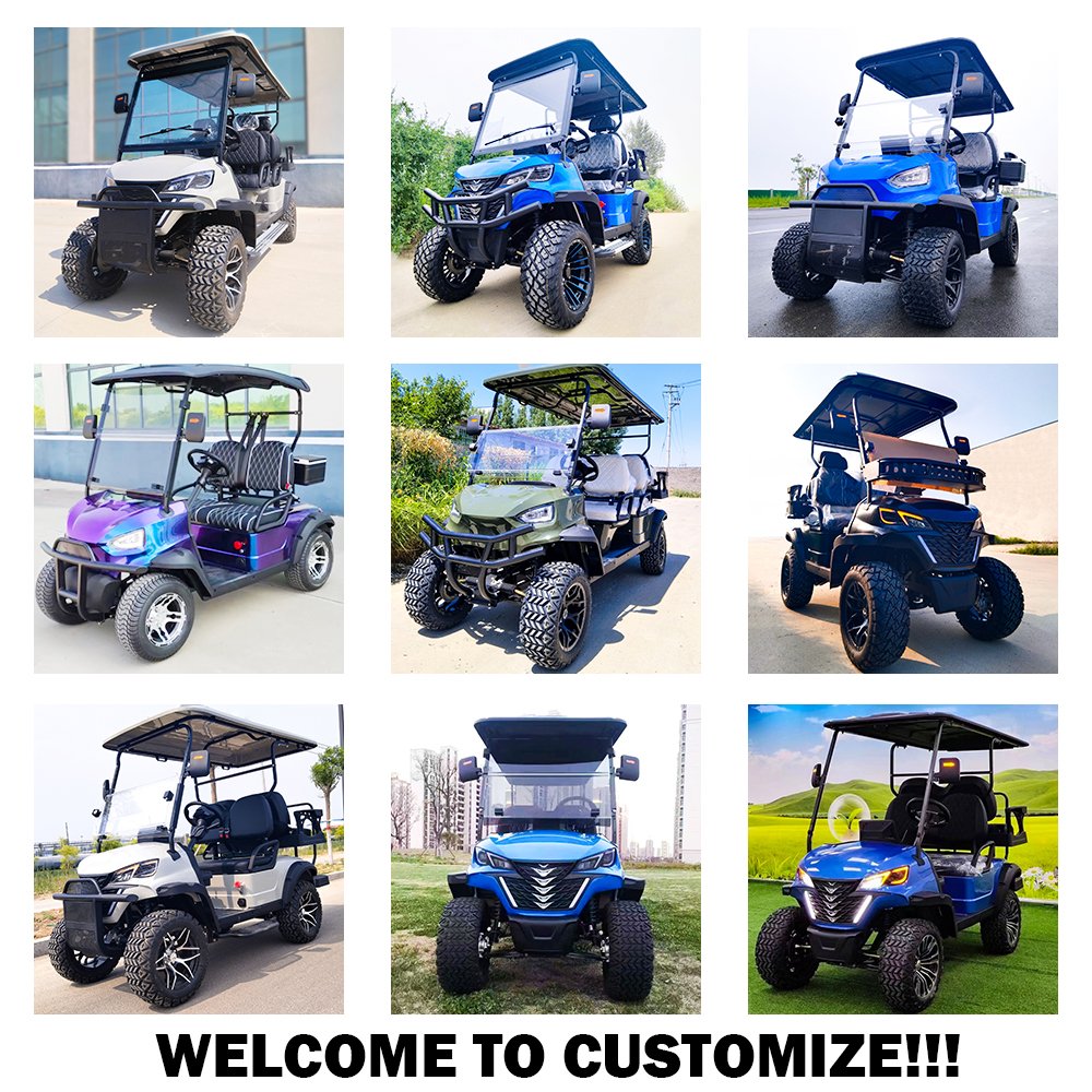 48V Lithium/Lead Battery for Sale ATV UTV New Buggy 4+2 Seater 4 Wheel Electric Car Eec Electric Vehicle 4 6 8 Seater with Catgo