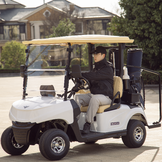4 Seats Electric Mini Utility Golf Car Golf Cart Classic Car