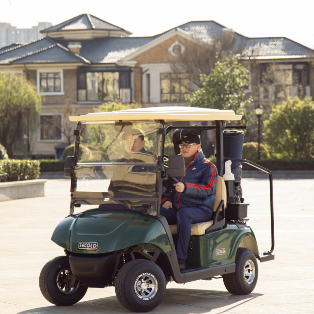 4 Seats Electric Mini Utility Golf Car Golf Cart Classic Car