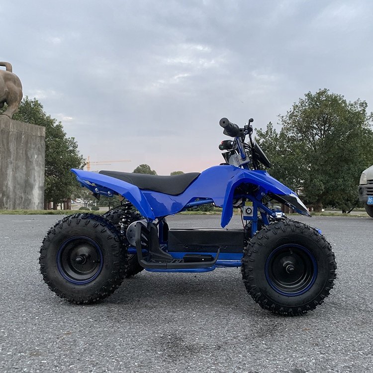 49cc 50cc Petrol Gasoline Engine Mini Atvs Beach Buggy 4 Wheel Kids Quad Bikes Atv for Kids Children