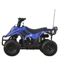 Tao Motor ATV with 6inch Wheel, Electric Start, Remote Shut Off Switch 110cc Gas ATV 110 Kids 12V Automatic Atv 125cc Quad Bike