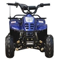 Tao Motor ATV with 6inch Wheel, Electric Start, Remote Shut Off Switch 110cc Gas ATV 110 Kids 12V Automatic Atv 125cc Quad Bike