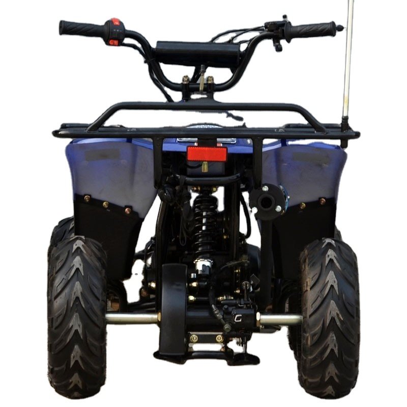 Tao Motor ATV with 6inch Wheel, Electric Start, Remote Shut Off Switch 110cc Gas ATV 110 Kids 12V Automatic Atv 125cc Quad Bike
